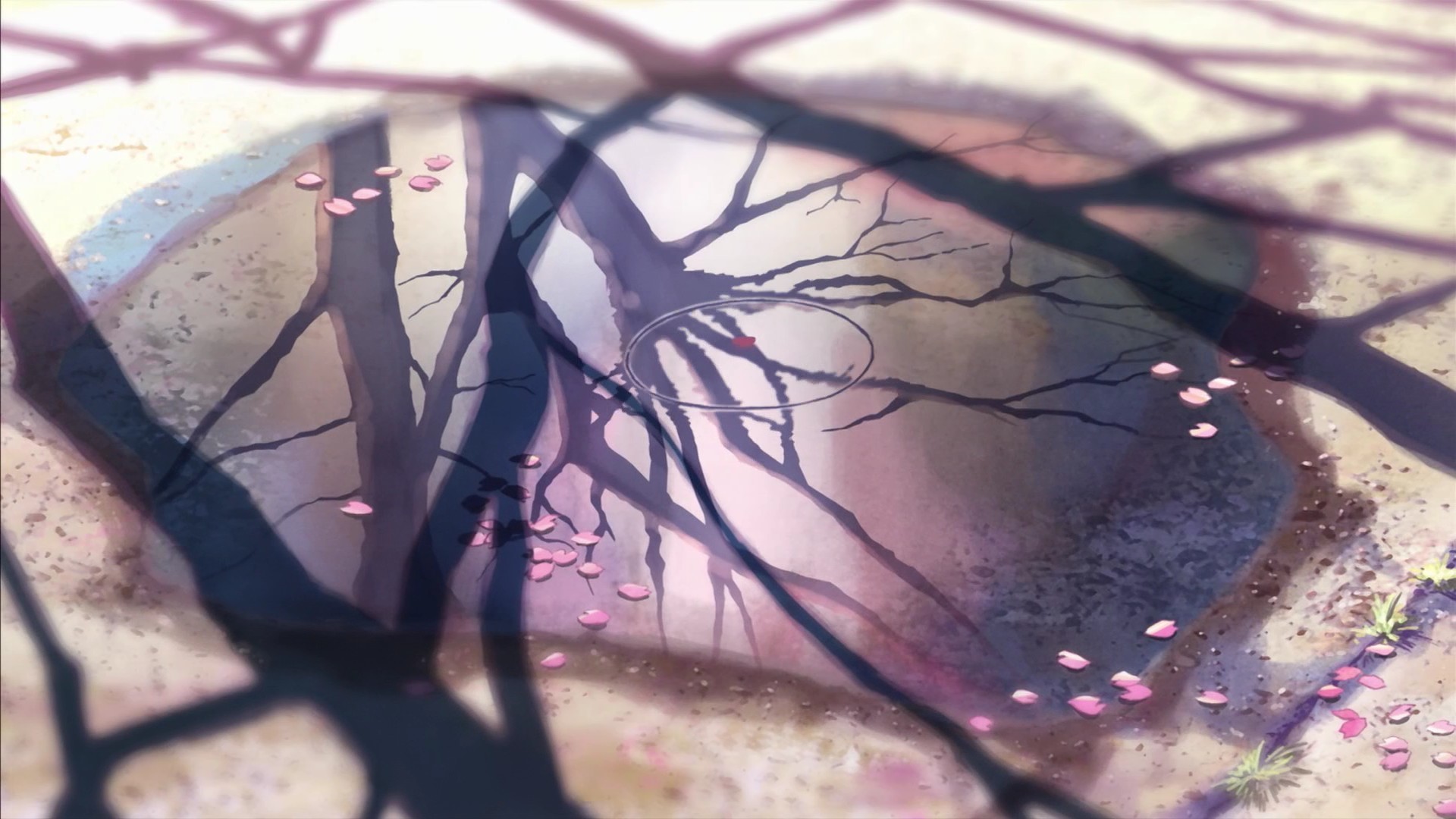 Anime, Nature, 5 Centimeters Per Second, Makoto Shinkai - Makoto Shinkai Background Evening , HD Wallpaper & Backgrounds