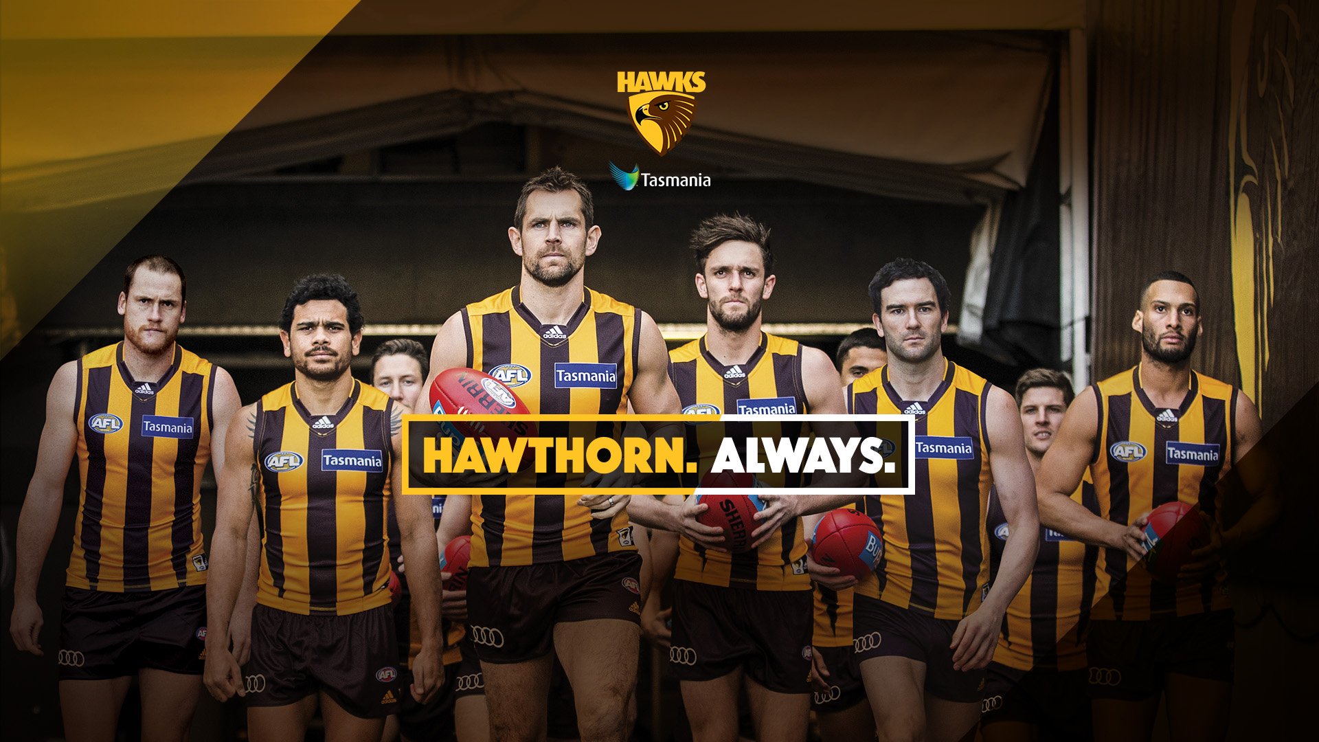 Hawthorn Fc On Twitter - Hawthorn Always , HD Wallpaper & Backgrounds