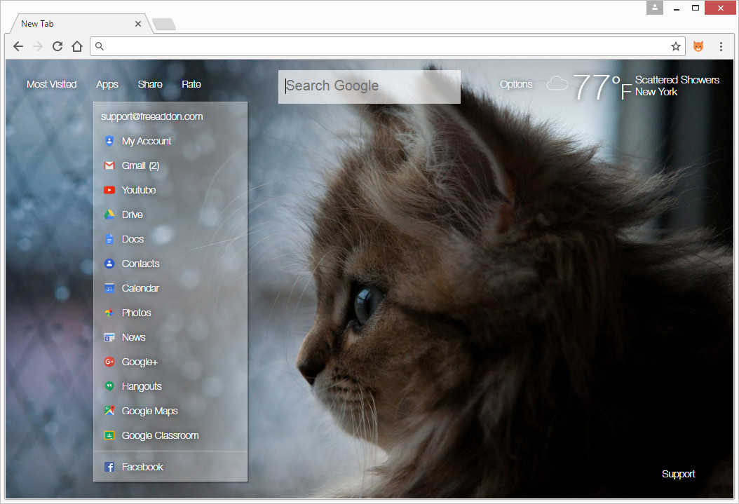 We Added Google Apps And Chrome Apps To Menu For Quick - Ultra Hd Kitten Hd , HD Wallpaper & Backgrounds