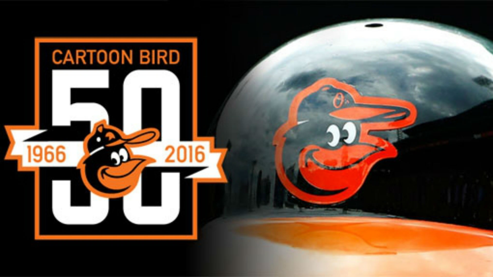 All Hail The Orioles' Cartoon Bird On Its 50th Anniversary - Baltimore Orioles Logo Hd , HD Wallpaper & Backgrounds