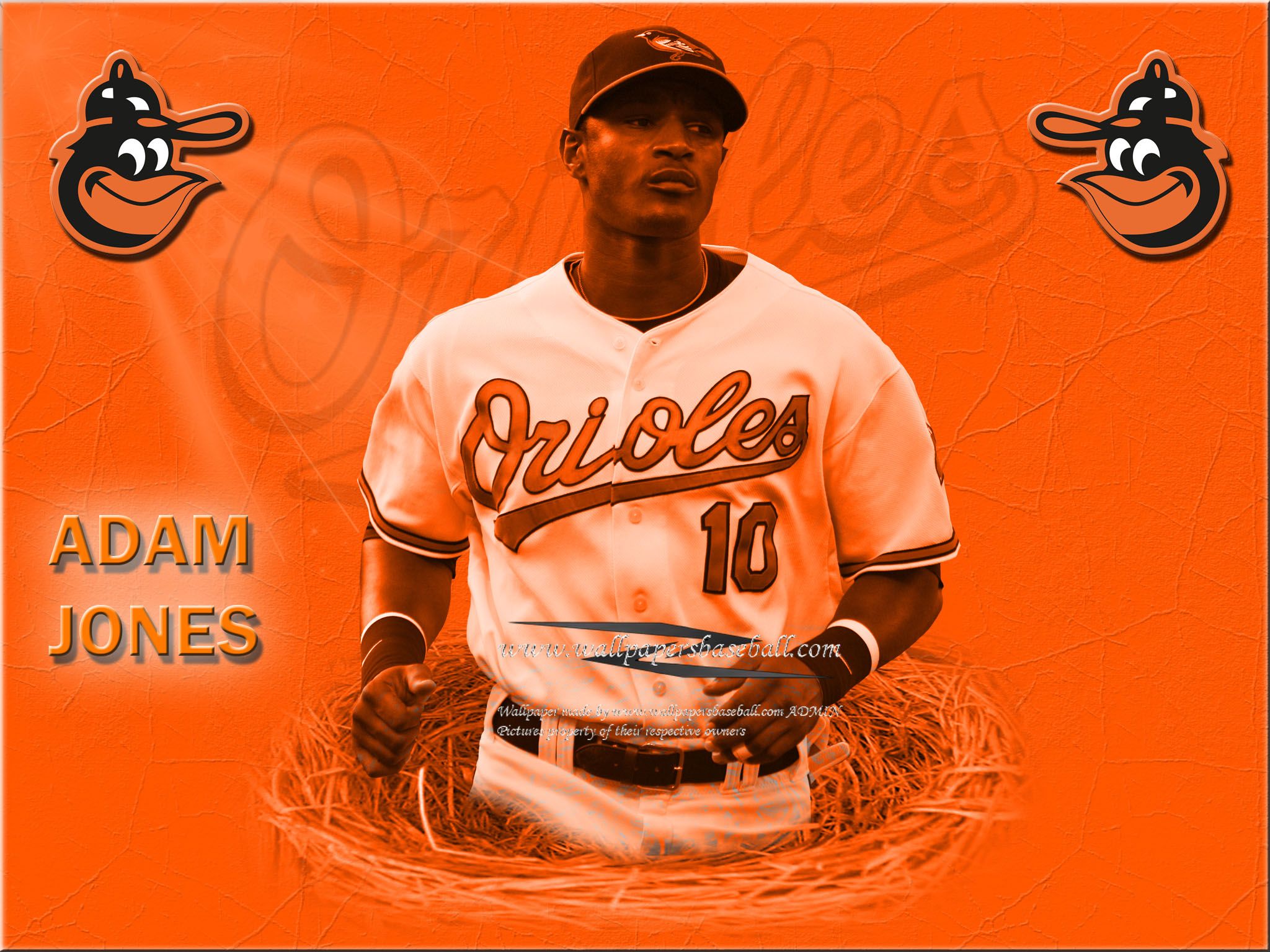 Baltimore Orioles Mlb Baseball Wallpaper , HD Wallpaper & Backgrounds