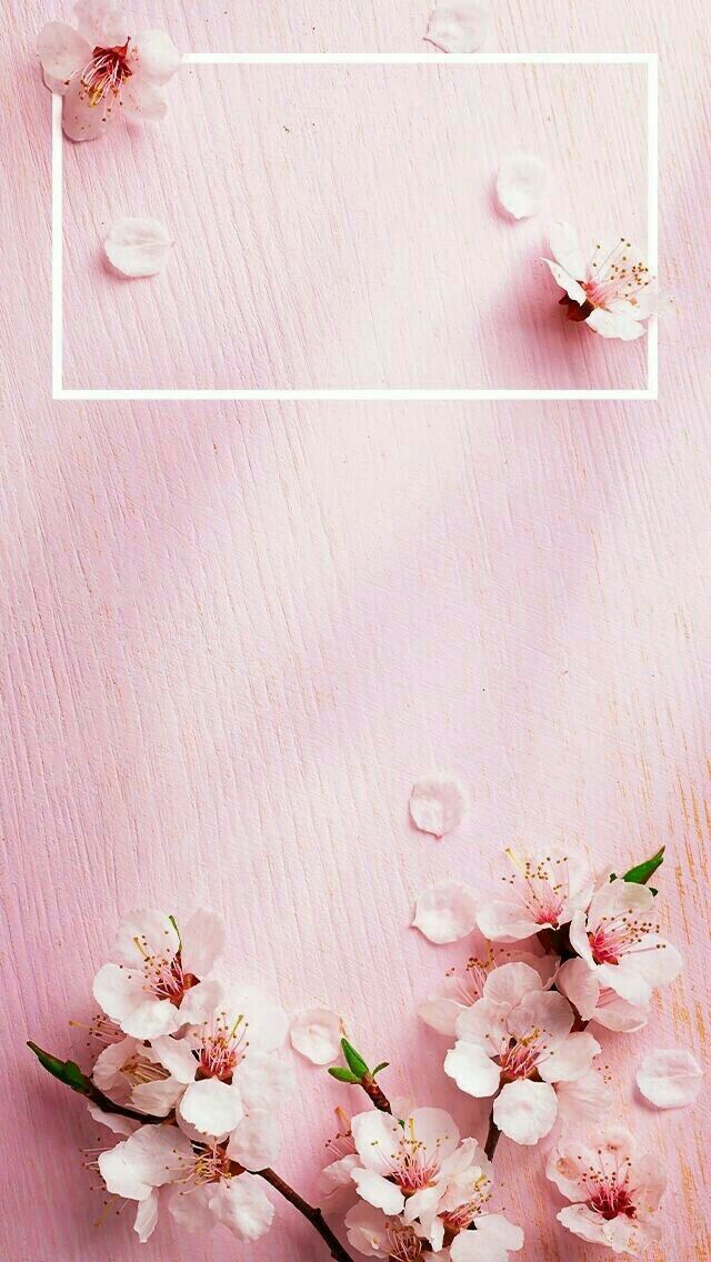 Pin By Suman Rajput On Wallpaper Rose Gold Lock Screen Iphone