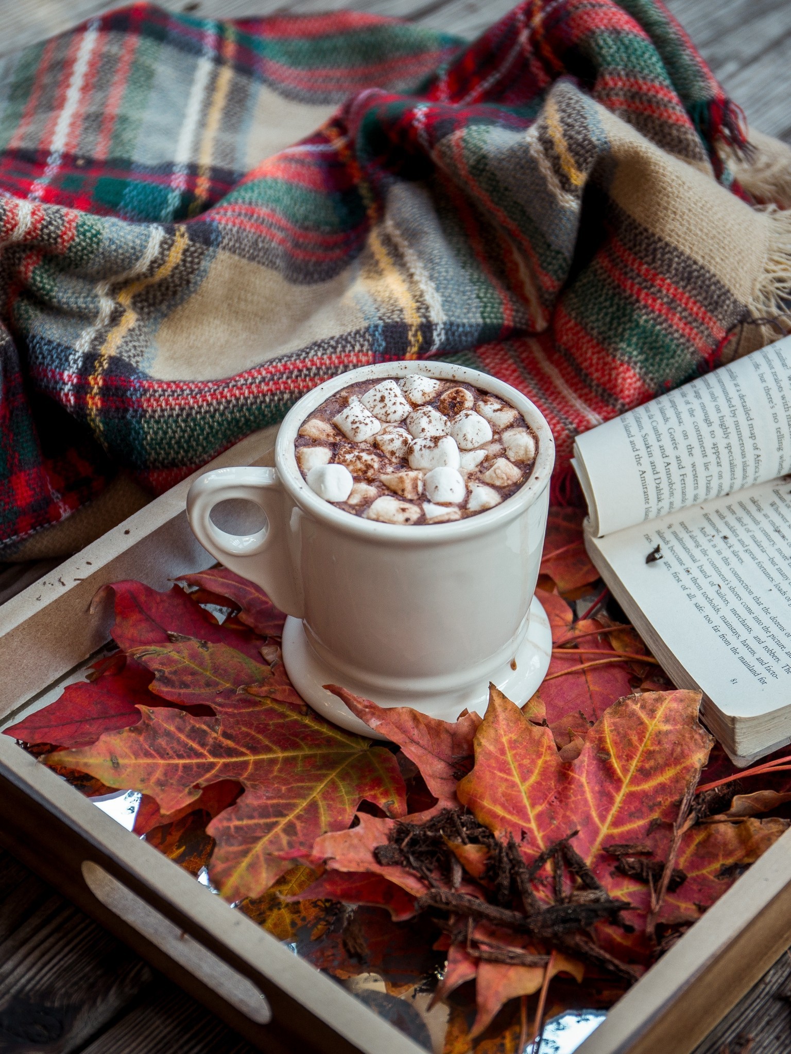 Chocolate, Marshmallow, Book, Leaves, Plaid, Drink - Winter Cosy , HD Wallpaper & Backgrounds