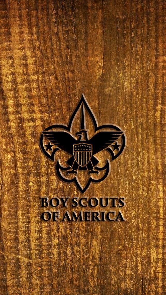 Boy Scout Logo Boy Scouts, Scouting, Phone Backgrounds, - Wood Grain Texture Hd , HD Wallpaper & Backgrounds