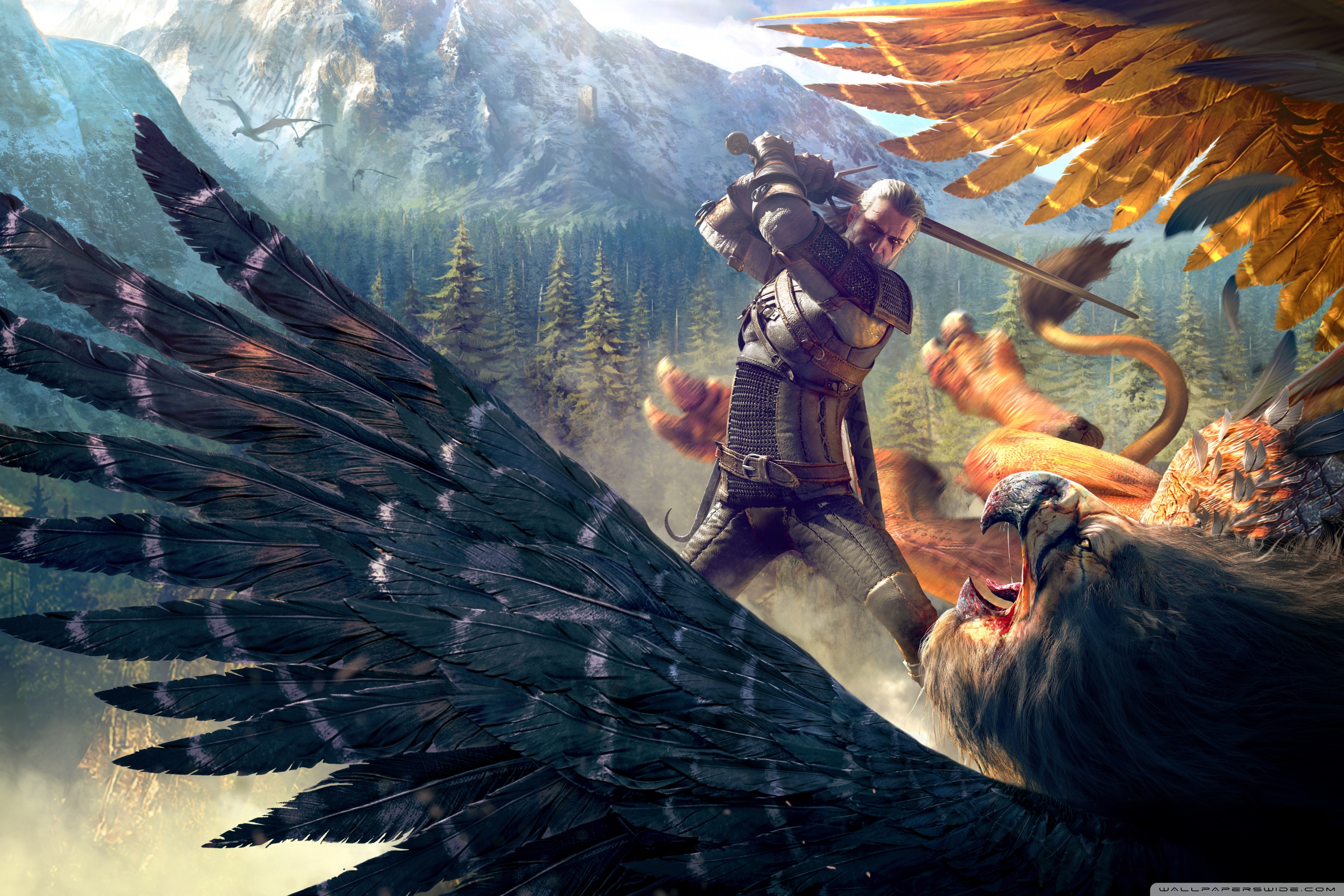 Griffin Wallpapers Px, , HD Wallpaper & Backgrounds