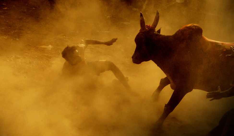 Thumb Image - Best Jallikattu , HD Wallpaper & Backgrounds