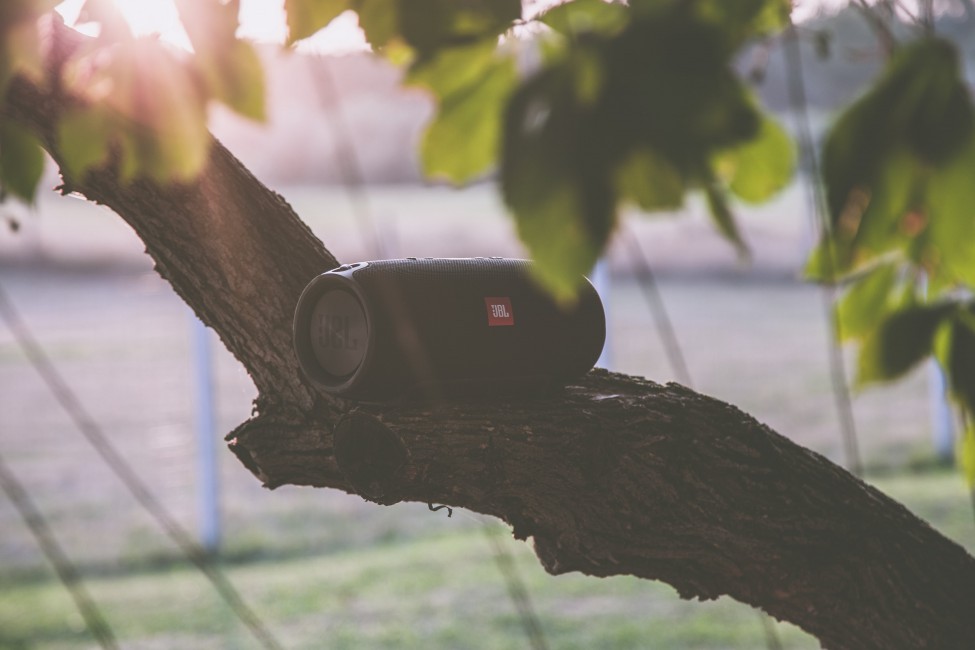 Black Jbl Bluetooth Speaker On Tree Branch - Wireless Speaker , HD Wallpaper & Backgrounds