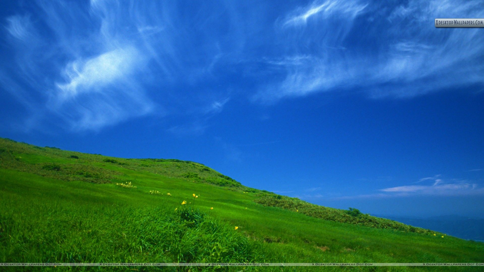 It's Always Sunny In Philadelphia Desktop Wallpaper - Sunny Day Clear Sky , HD Wallpaper & Backgrounds