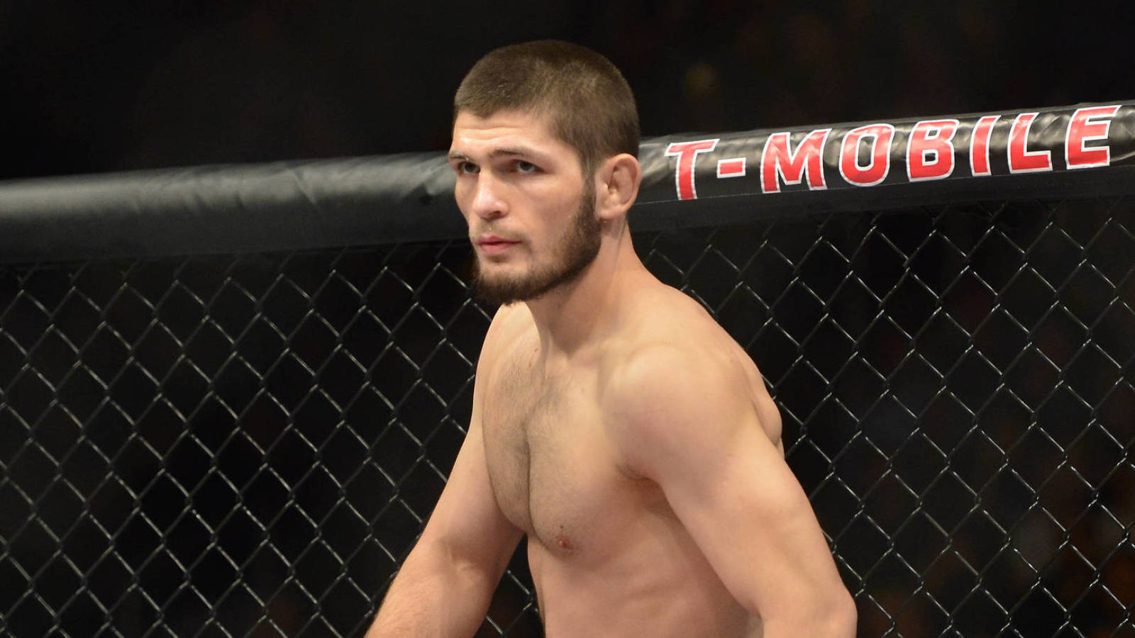 Khabib Nurmagomedov Willing To Fight Gsp Despite Retirement - Dustin Poirier Vs Khabib , HD Wallpaper & Backgrounds