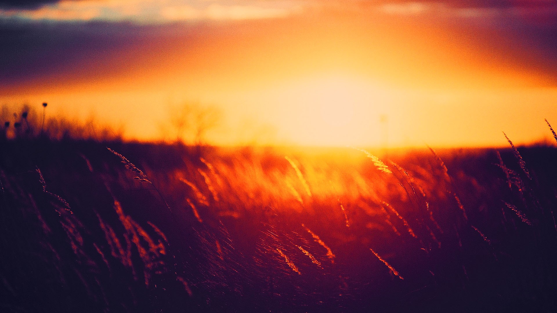 Wallpapers - Cool Orange Sunset , HD Wallpaper & Backgrounds