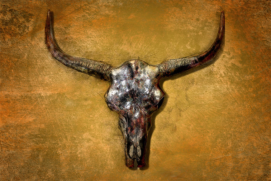 Bull , HD Wallpaper & Backgrounds