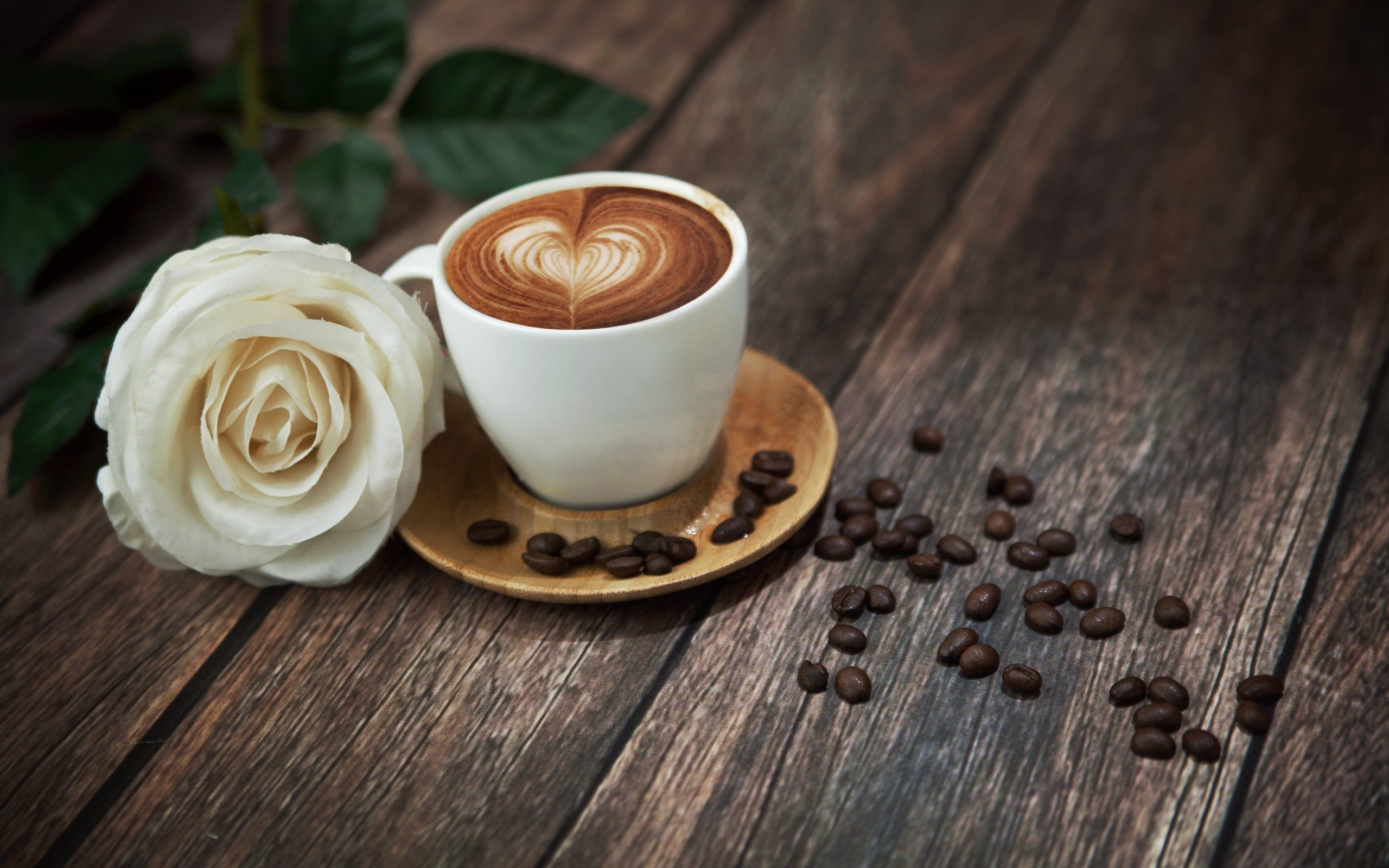 Download Wallpapers Rose, Latte Art, A Cup Of Coffee - Coffee Cup , HD Wallpaper & Backgrounds