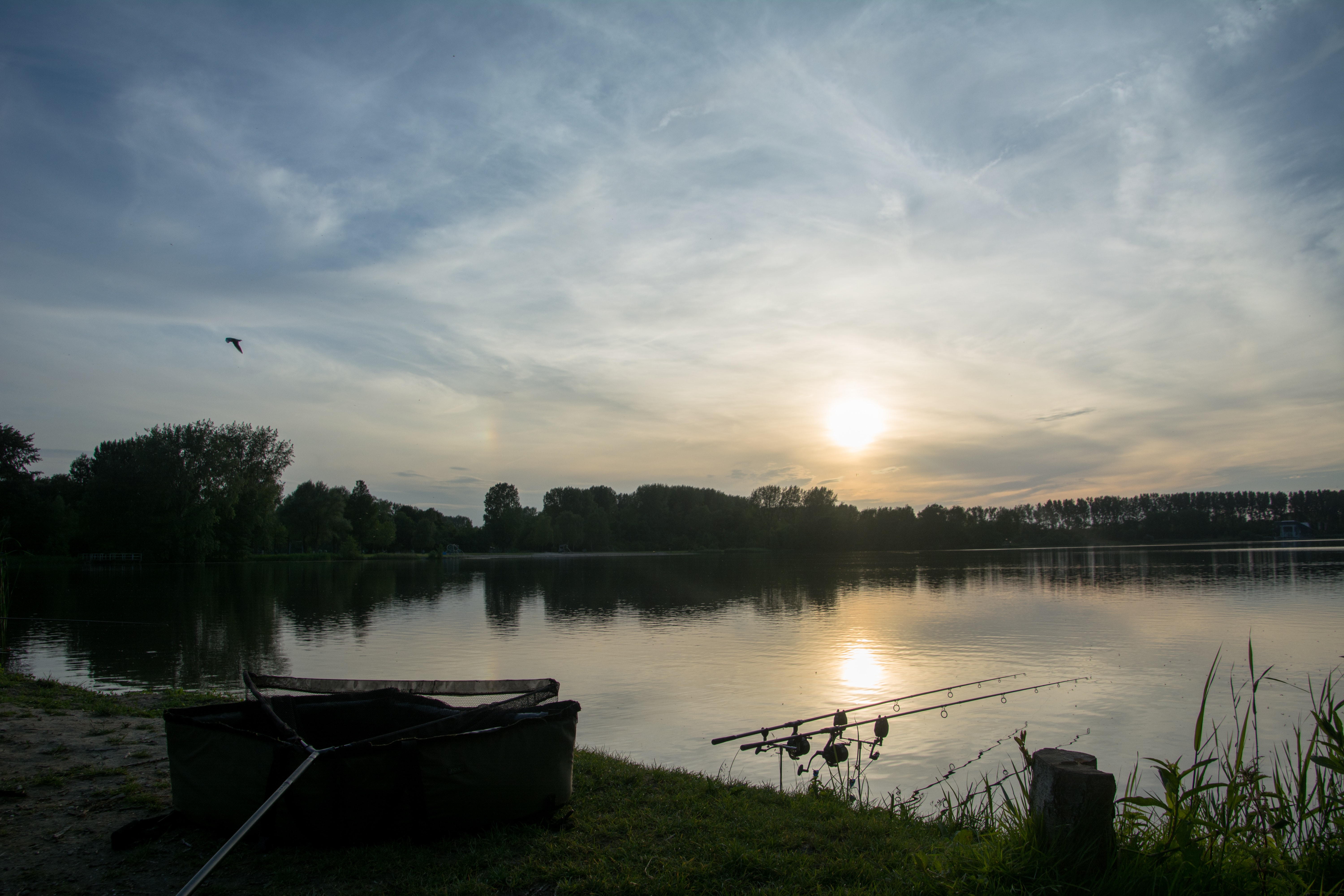 Similar Photos - Carp Fishing Wallpaper Hd , HD Wallpaper & Backgrounds