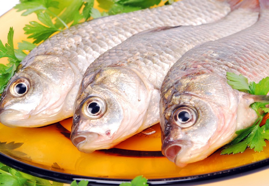Fish Carp Plate Three Parsley Herbs - თევზის თვალები , HD Wallpaper & Backgrounds