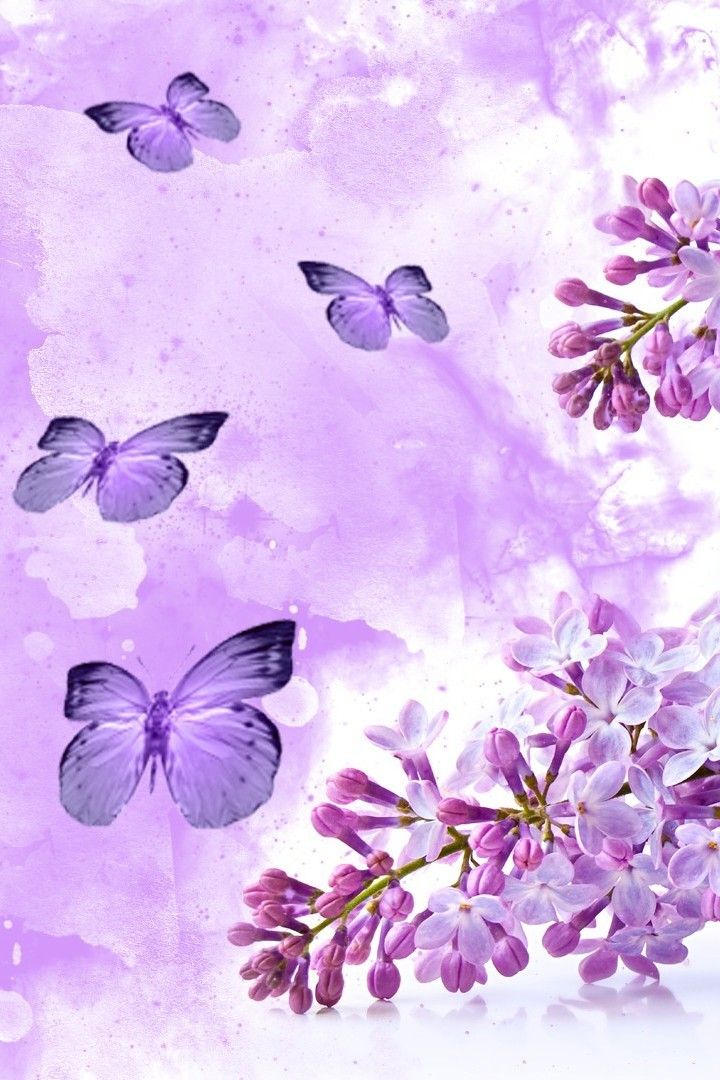 Purple Butterfly Wallpaper - Purple Butterfly Wallpaper For Iphone , HD Wallpaper & Backgrounds