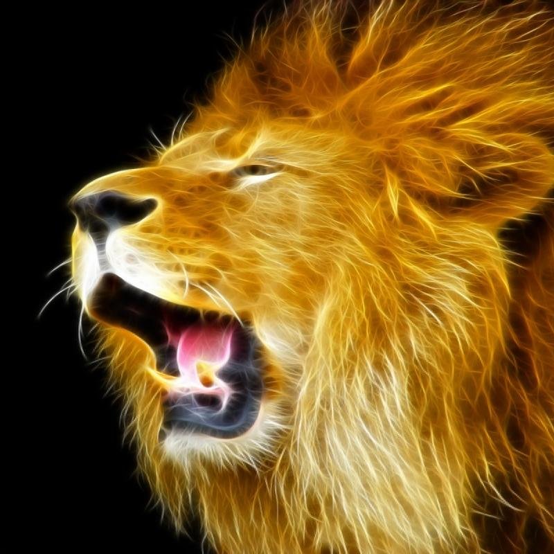 Good Wallpapers - Lion Roaring King , HD Wallpaper & Backgrounds