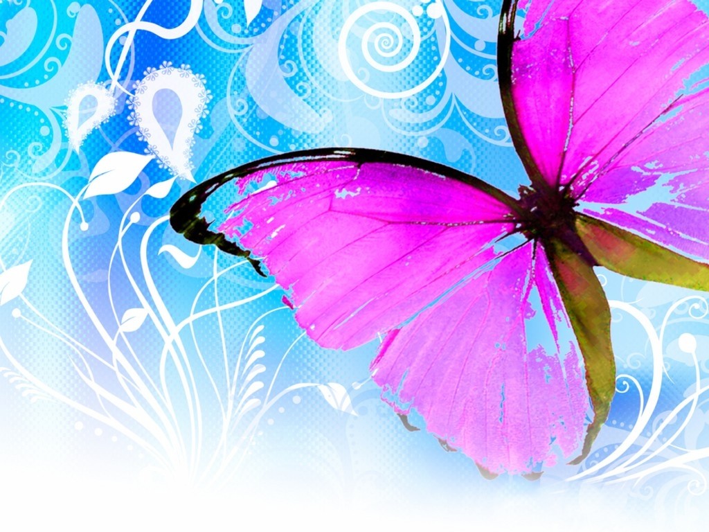 Butterfly Wallpaper - Butterfly Background , HD Wallpaper & Backgrounds