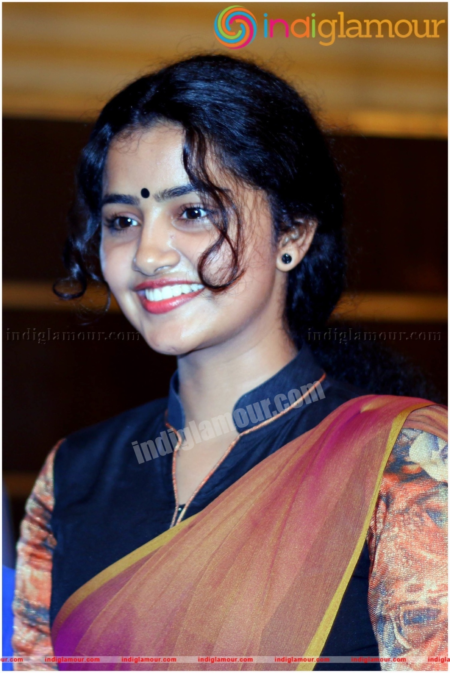 Anupama Parameswaran- 06 - Sari , HD Wallpaper & Backgrounds