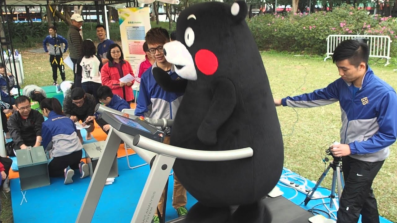 Kumamon Played Running Machine - Inflatable , HD Wallpaper & Backgrounds
