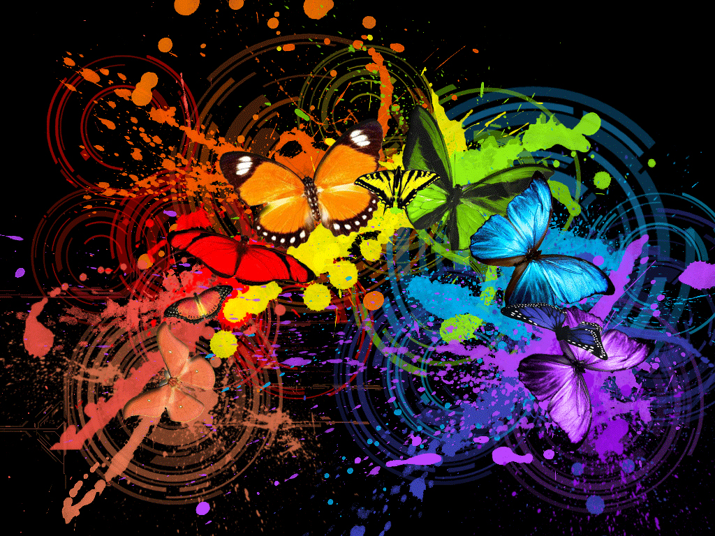 Multicolored Butterflies, Butterfly Wallpaper, Download - Colorful Wallpaper Butterflies , HD Wallpaper & Backgrounds