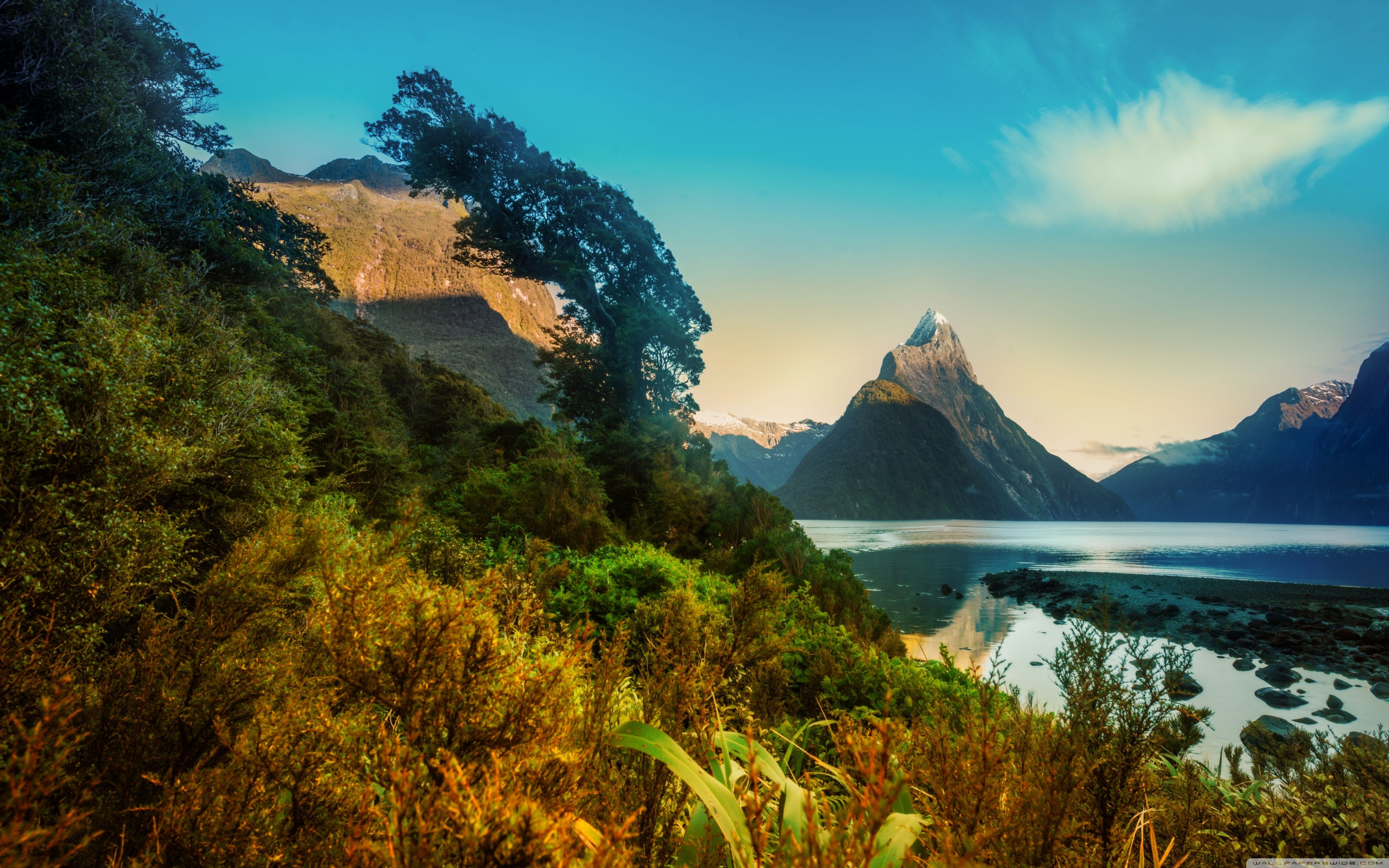 New Zealand Wild Camping , HD Wallpaper & Backgrounds
