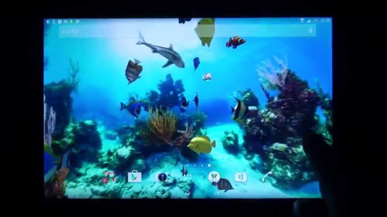 Aquarium 360 Live Wallpaper For Android By Jonas Lindekrantz - Led-backlit Lcd Display , HD Wallpaper & Backgrounds