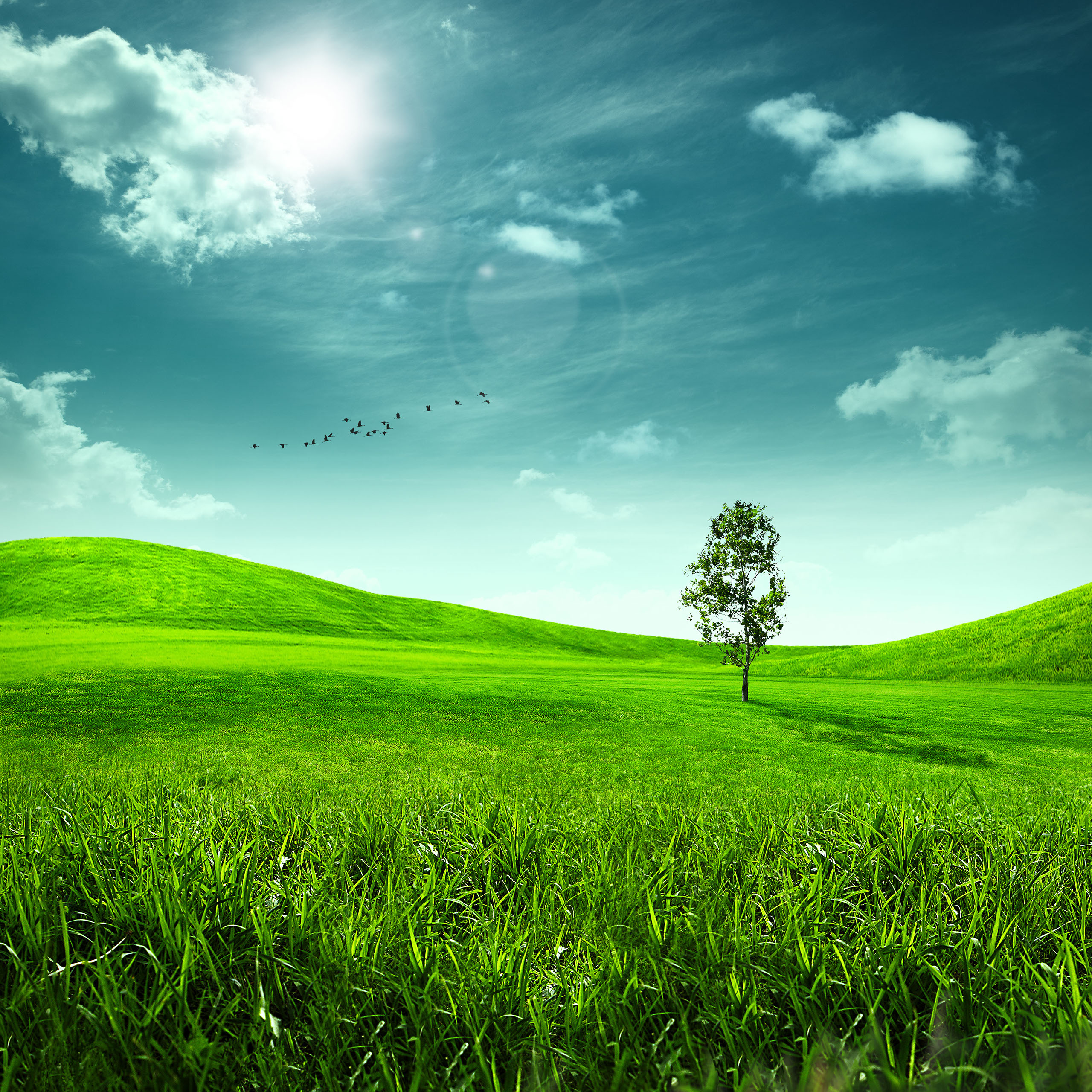 Nature 1920×1080 Full Hd Wallpapers 1080p Hd Wallpapers Green And