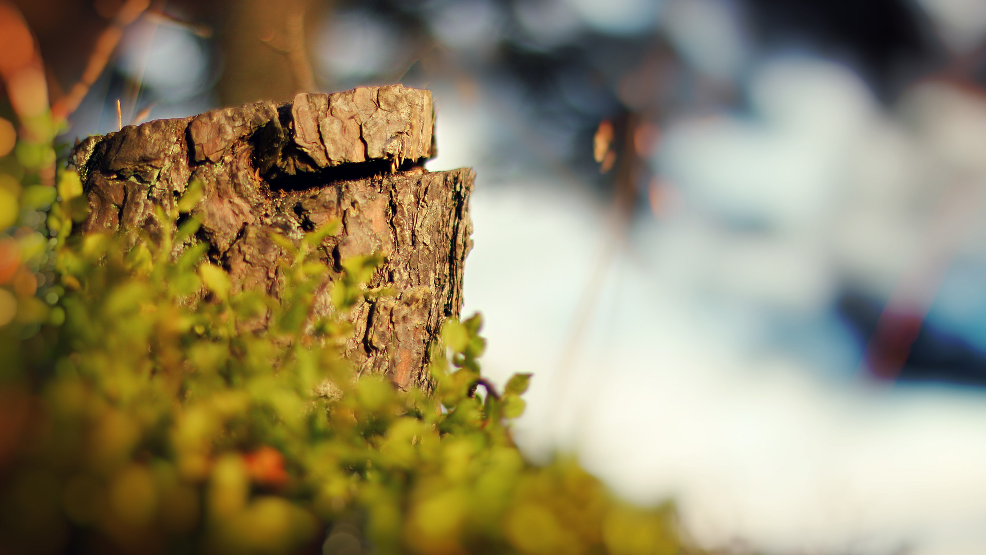Background Images Hd 1080P Free Download For Editing - Each of our
