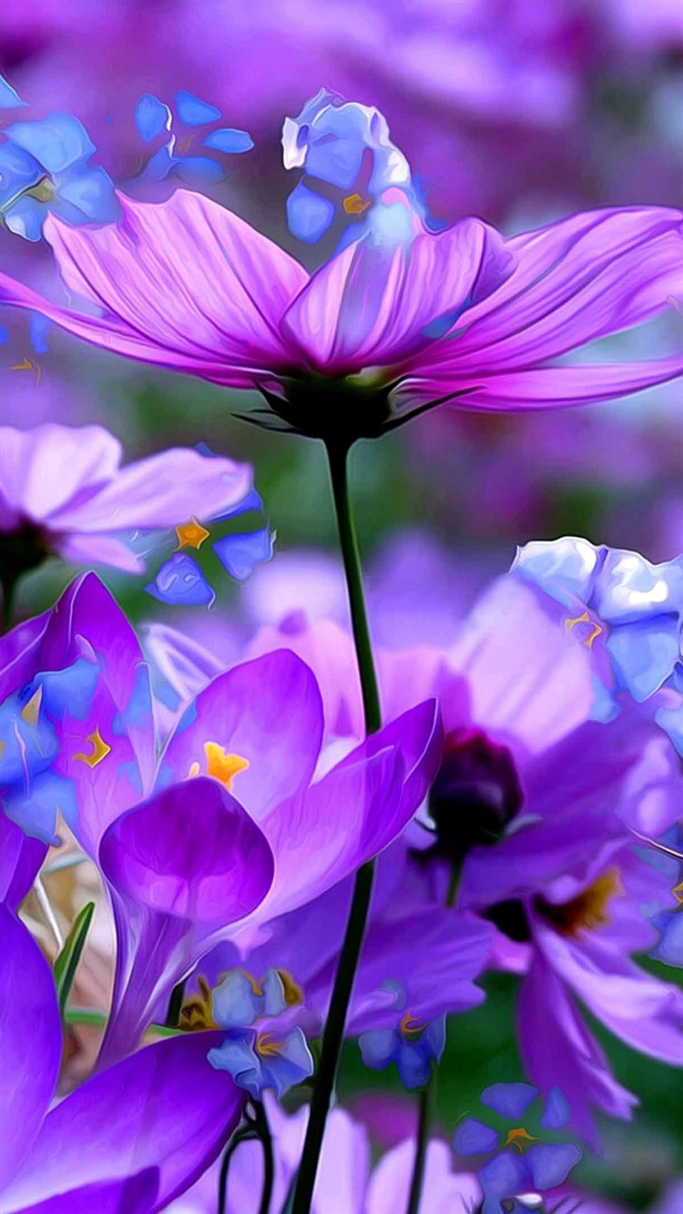 Can Use For Book Cover, Mzedgenet Clipart - Purple Pictures Of Flowers , HD Wallpaper & Backgrounds