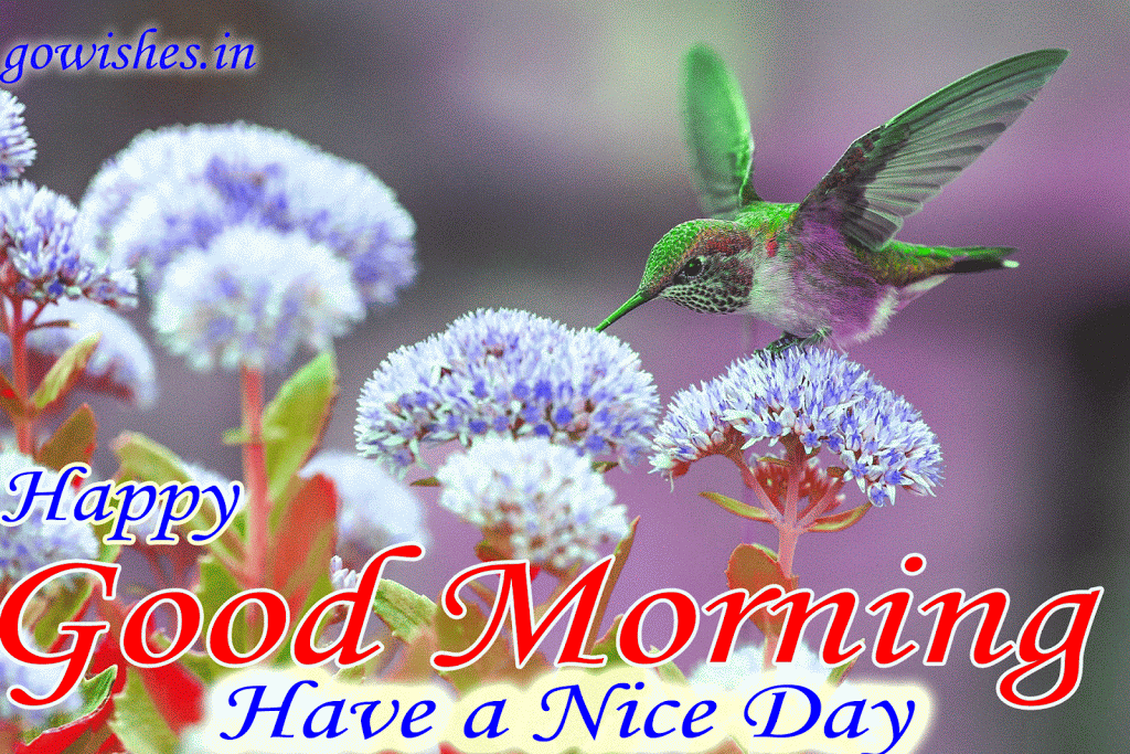 Https Encrypted Tbn0 Gstatic Com Images Q Tbn 3aand9gctkcxv6btgu9asex4abmcv8m1kleiey3bxdcfrjifmnqo8aslbn