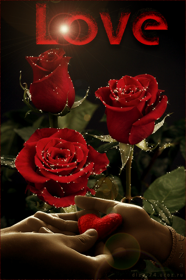 Good Night Flower Gif Wallpaper Flowers Healthy - Beautiful Love Rose Gif , HD Wallpaper & Backgrounds