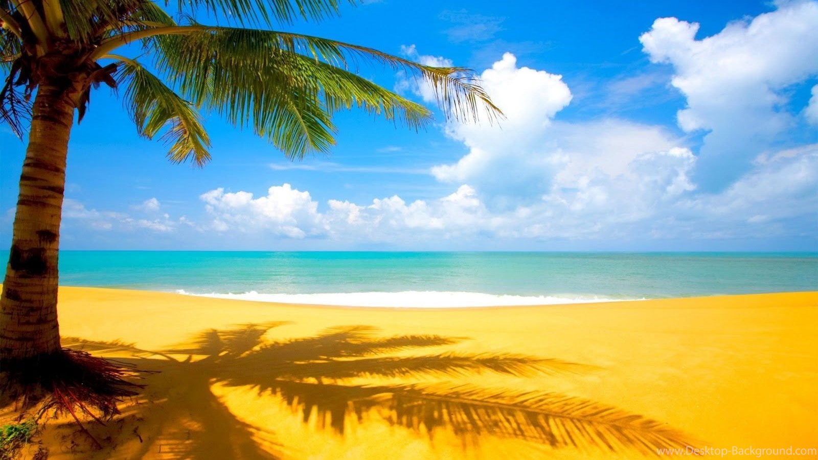 Popular - Sunny Day At The Beach , HD Wallpaper & Backgrounds