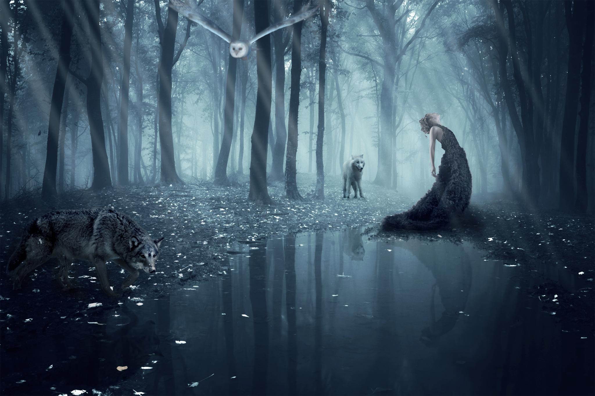 Girl Wolf Owl Forest Wolves Gothic Goth Loli Mood Wallpaper - Forest With Fog , HD Wallpaper & Backgrounds
