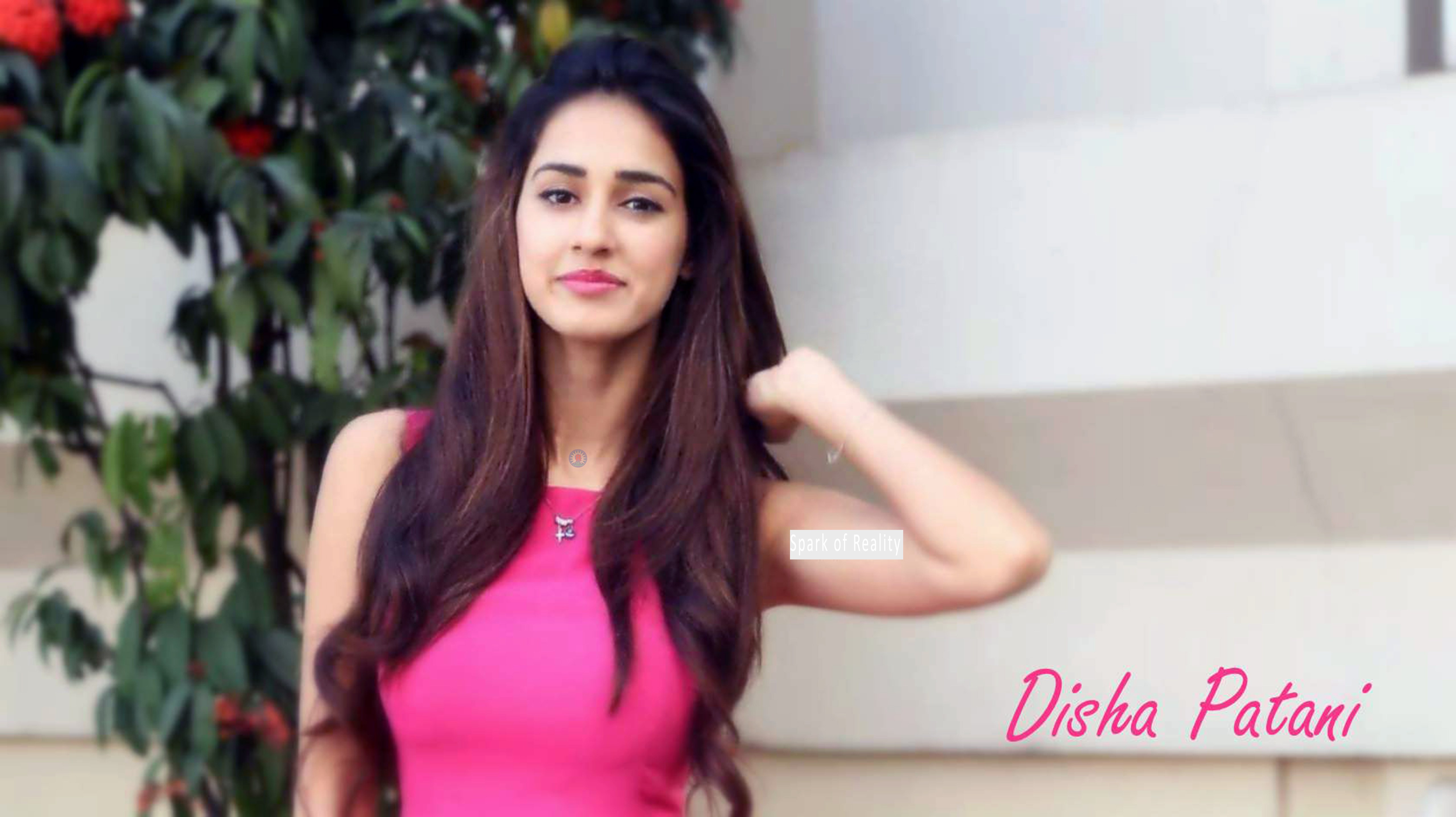 Disha Patani Pic11 - Disha Patani's Baaghi 2 , HD Wallpaper & Backgrounds