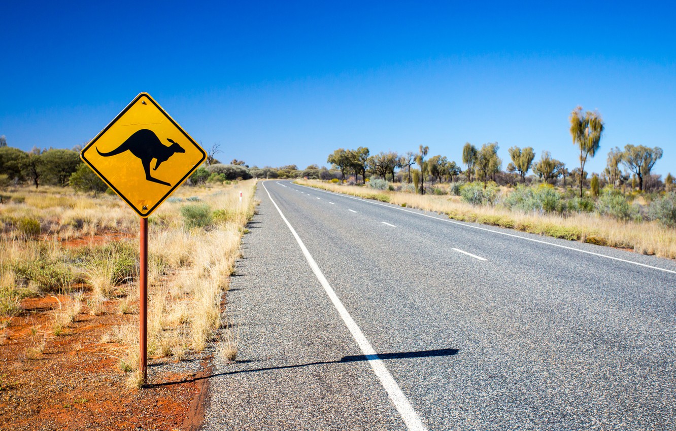 Photo Wallpaper Caution, Street, Road Sign, Kangaroo - Road Trip , HD Wallpaper & Backgrounds