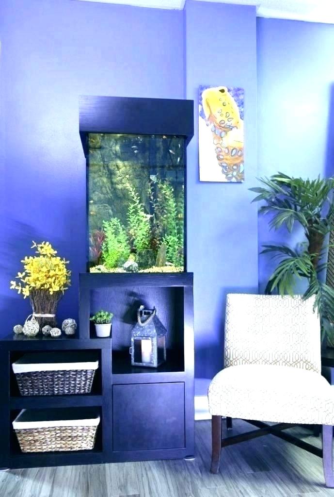 Related Post - Aquarium , HD Wallpaper & Backgrounds