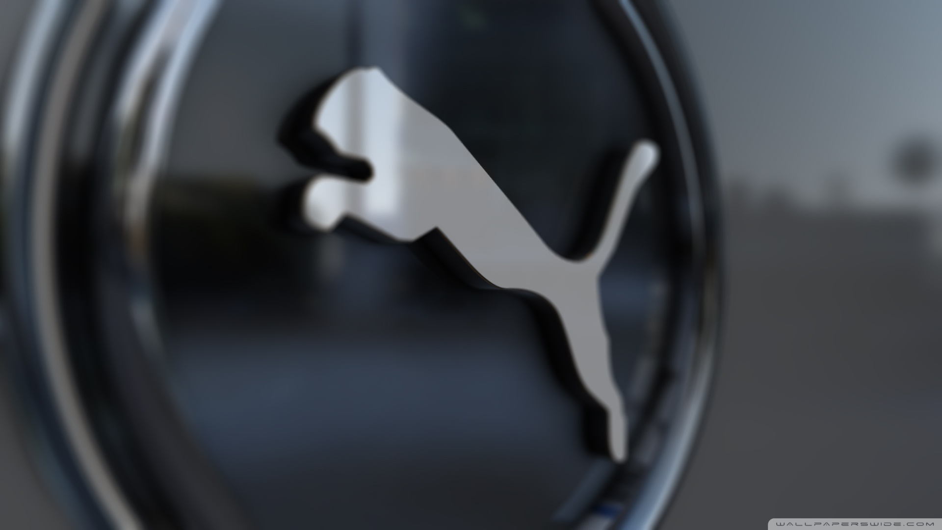 Standard - Puma Wallpaper Hd , HD Wallpaper & Backgrounds