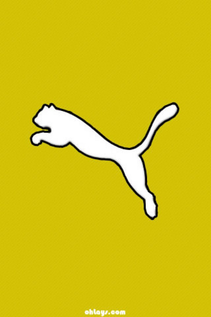 Puma Wallpaper - Cat Jumps , HD Wallpaper & Backgrounds