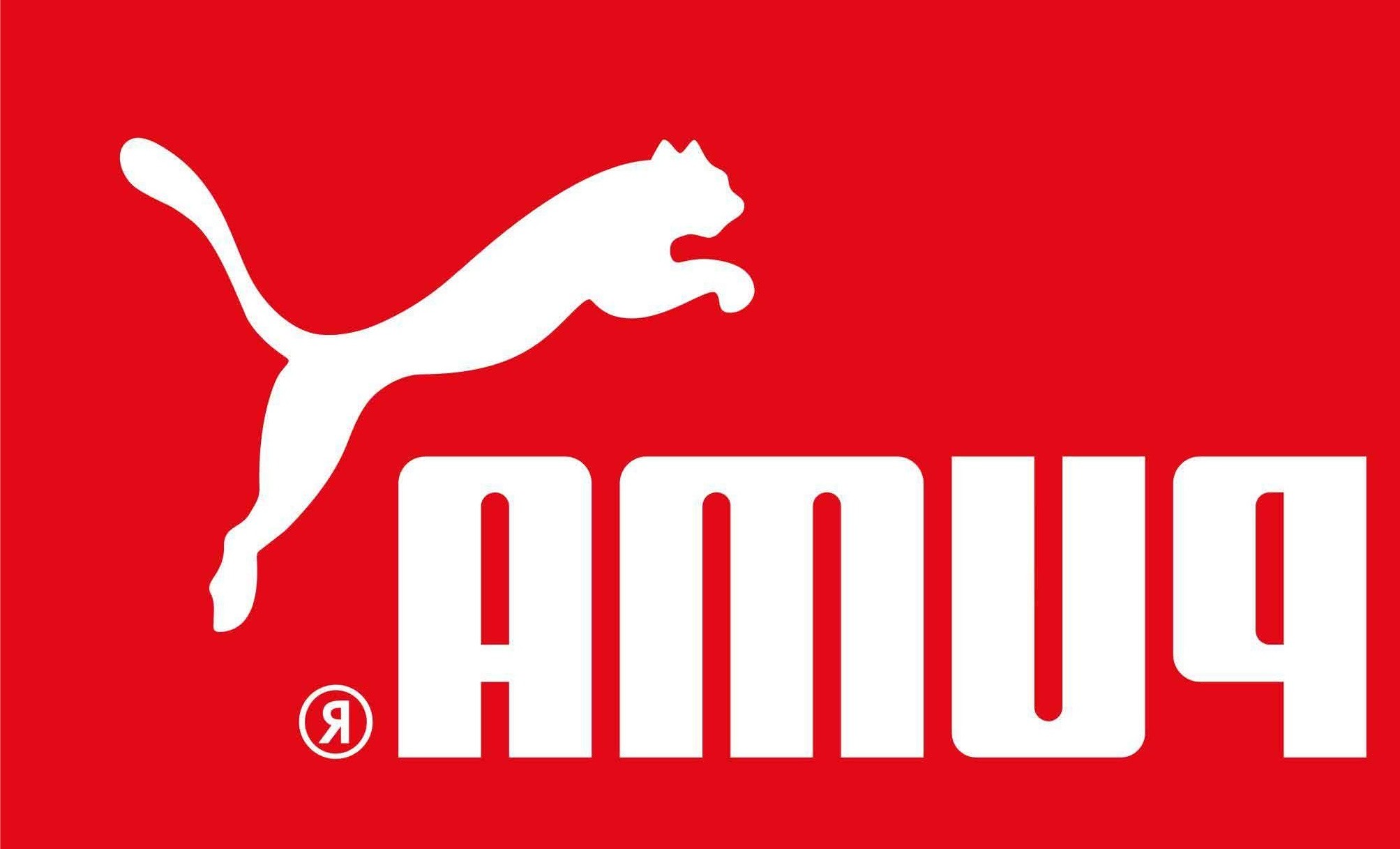 puma cat wiki