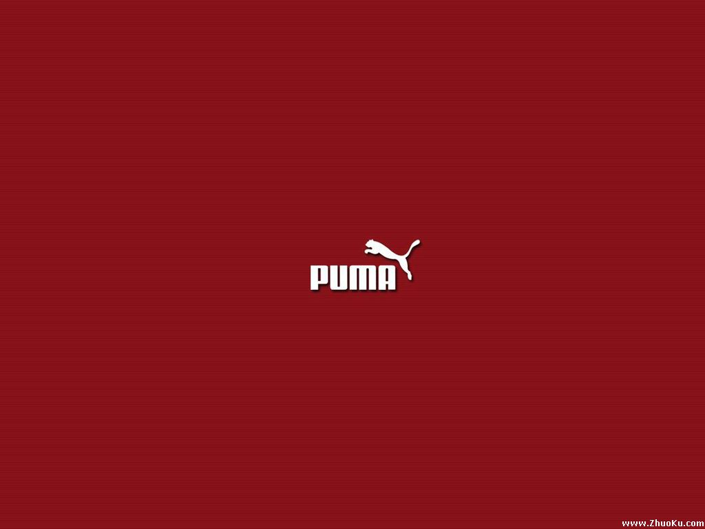 Puma, Wallpapers And Pictures - Puma Red , HD Wallpaper & Backgrounds