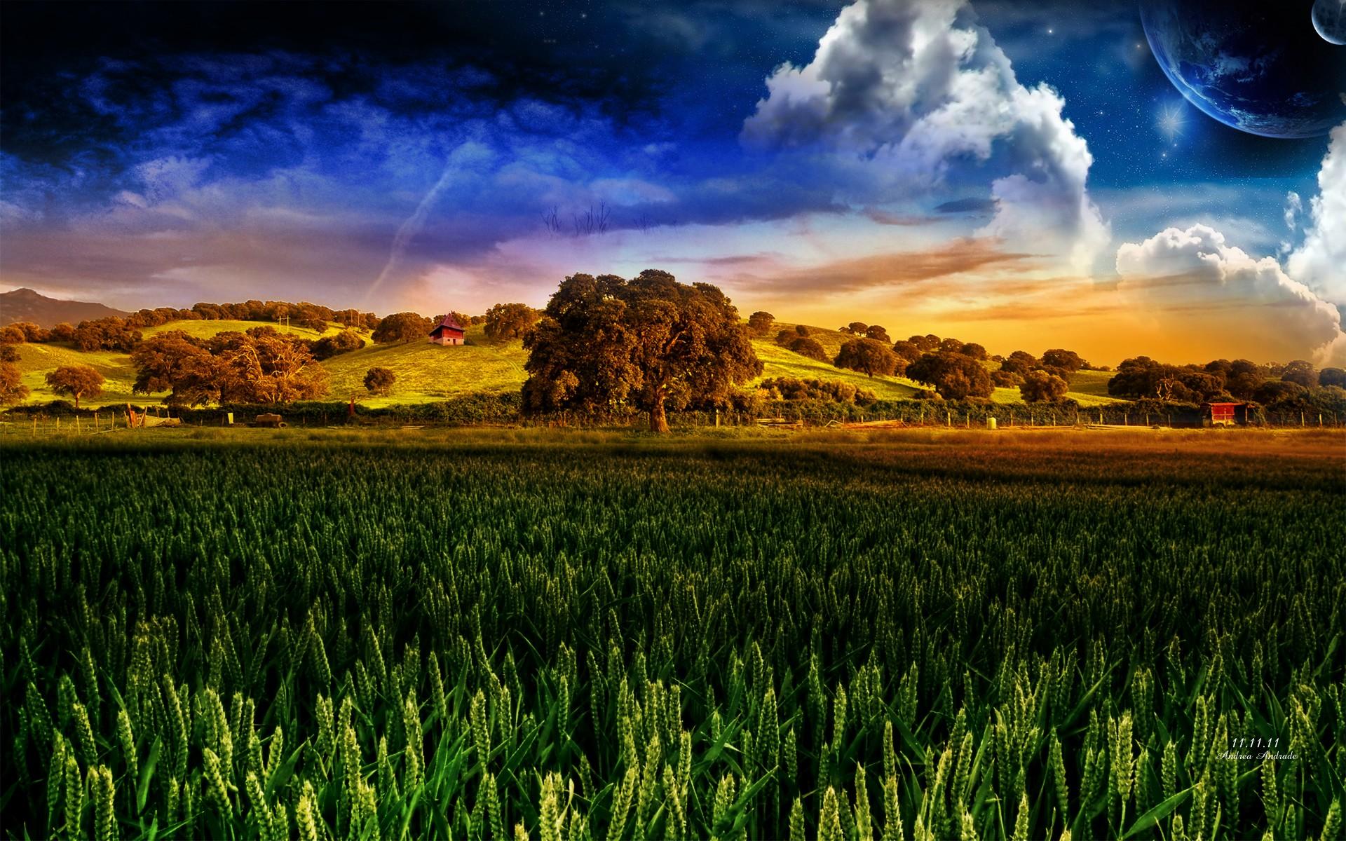 Corn - Nature Wallpaper Hd , HD Wallpaper & Backgrounds