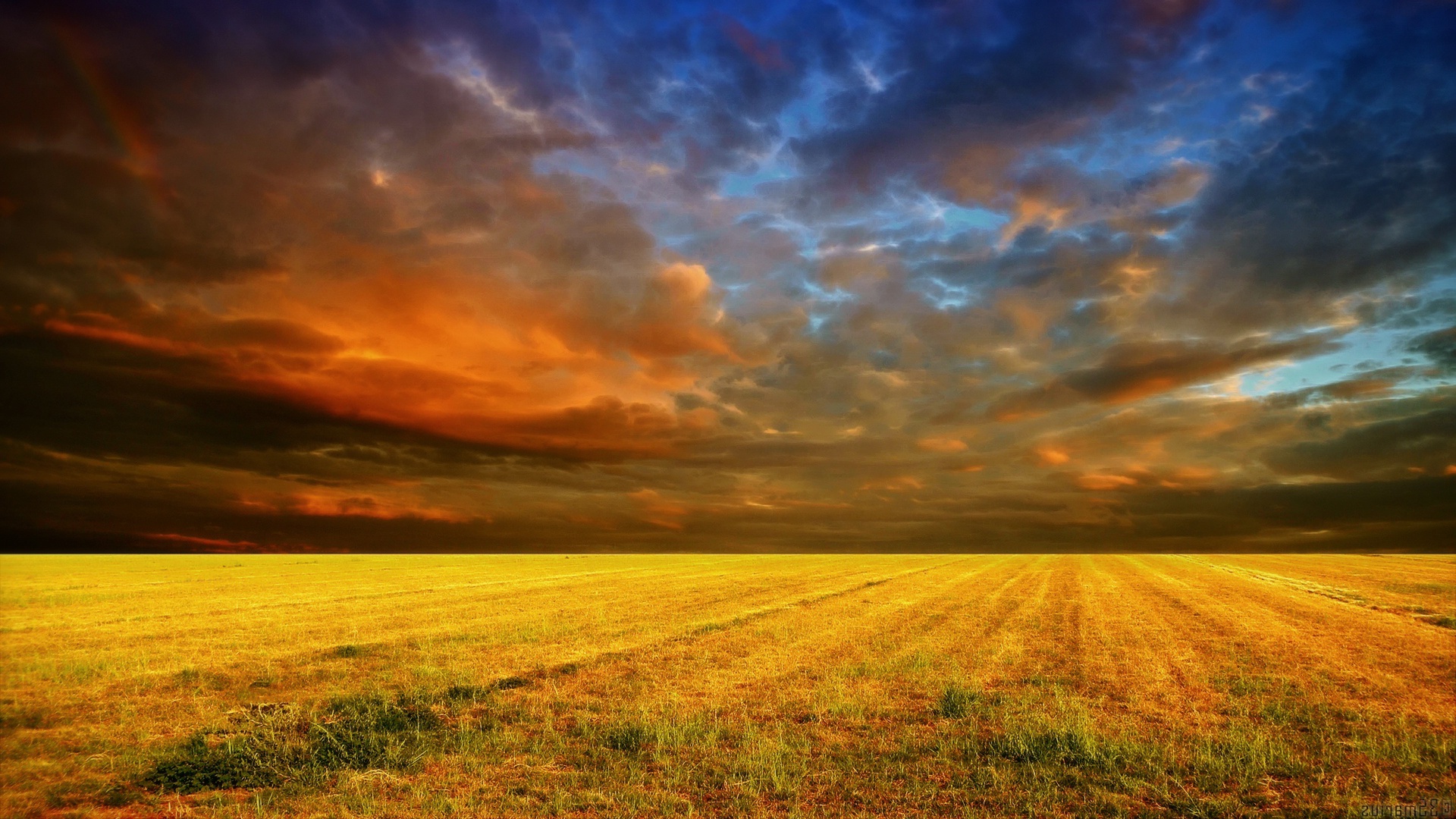 Sunset Cornfield - Clouds In Corn Field , HD Wallpaper & Backgrounds