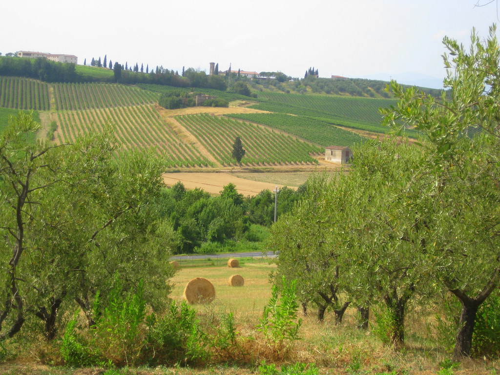 Tuscany Countryside Tags - Field , HD Wallpaper & Backgrounds