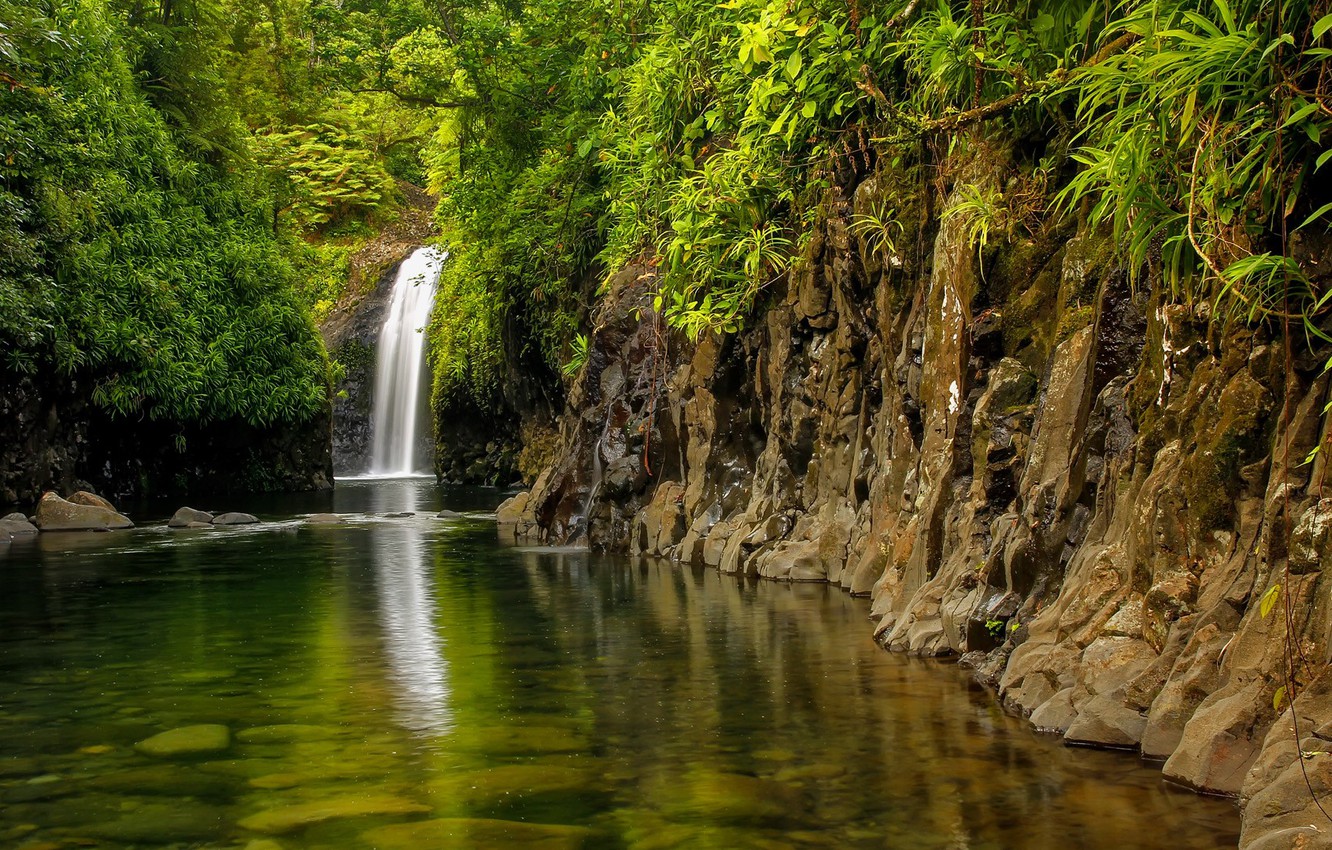 Photo Wallpaper Forest, Waterfall, Fiji, Fiji, Taveuni - Taveuni Waterfall In Fiji , HD Wallpaper & Backgrounds