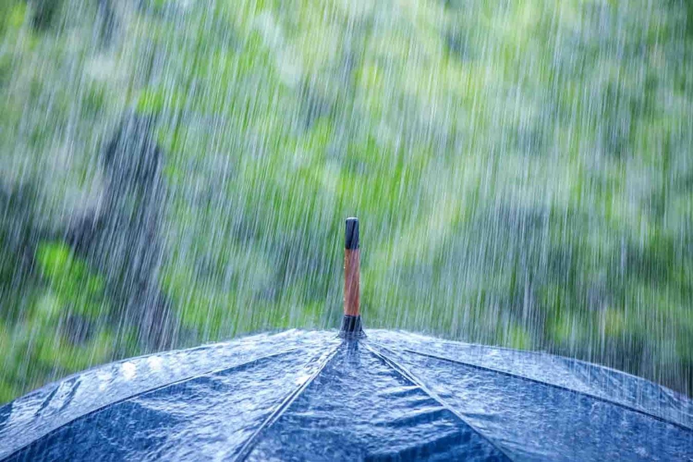 Beautiful Rain Rainy Season Wallpaper Hd Photos