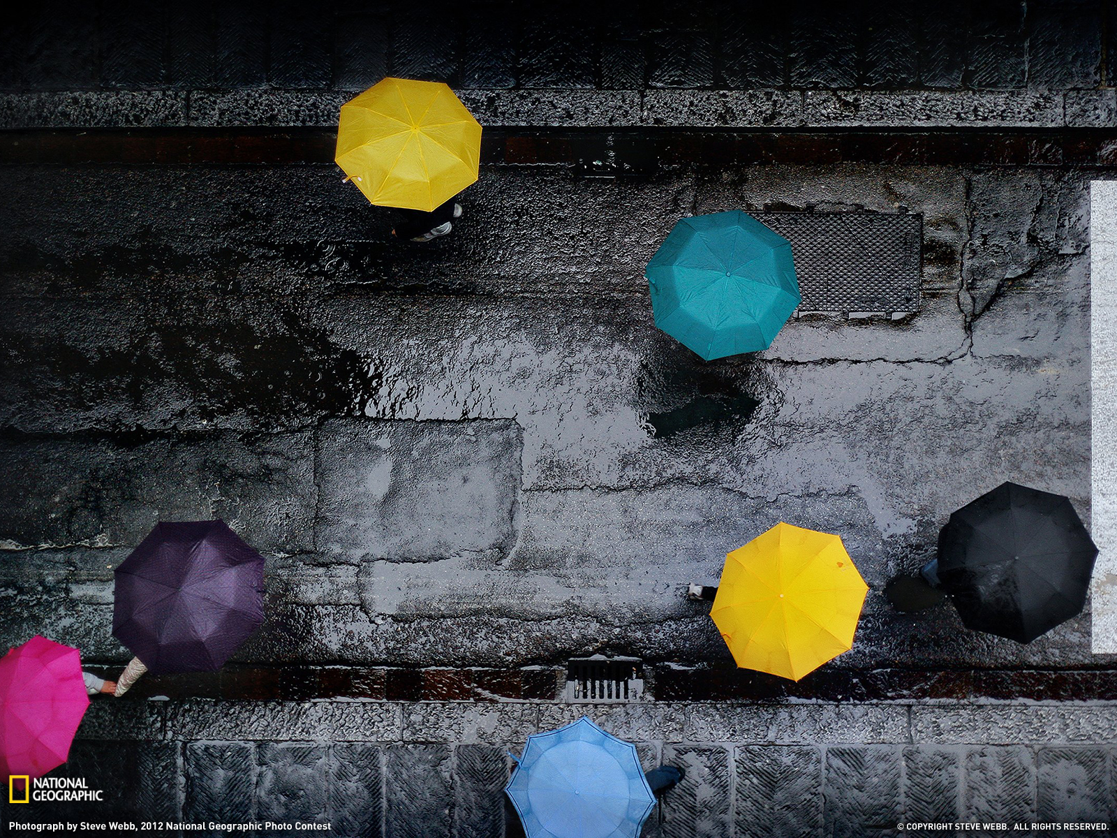 Rain Picture Weather Wallpaper National Geographic - Umbrellas In Rain , HD Wallpaper & Backgrounds