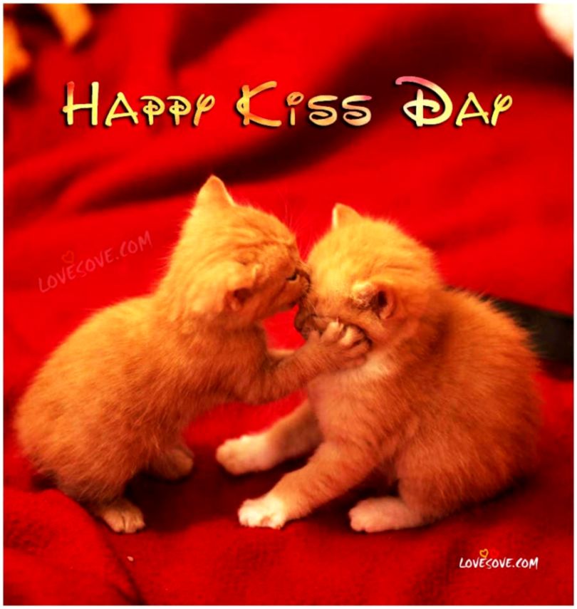 Happy Kiss Day 2019 Status Quotes Kiss Wallpaper With - Kiss Day Images Cats , HD Wallpaper & Backgrounds