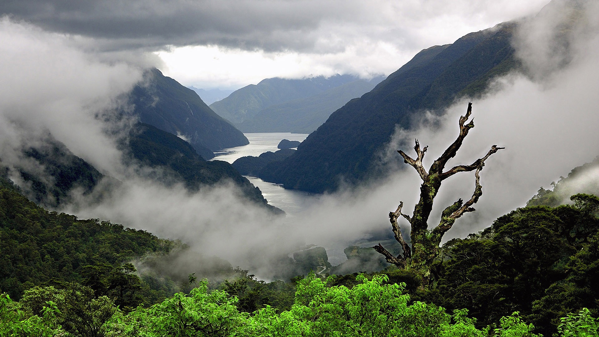 Weather Backgrounds Hd - Doubtful Sound , HD Wallpaper & Backgrounds