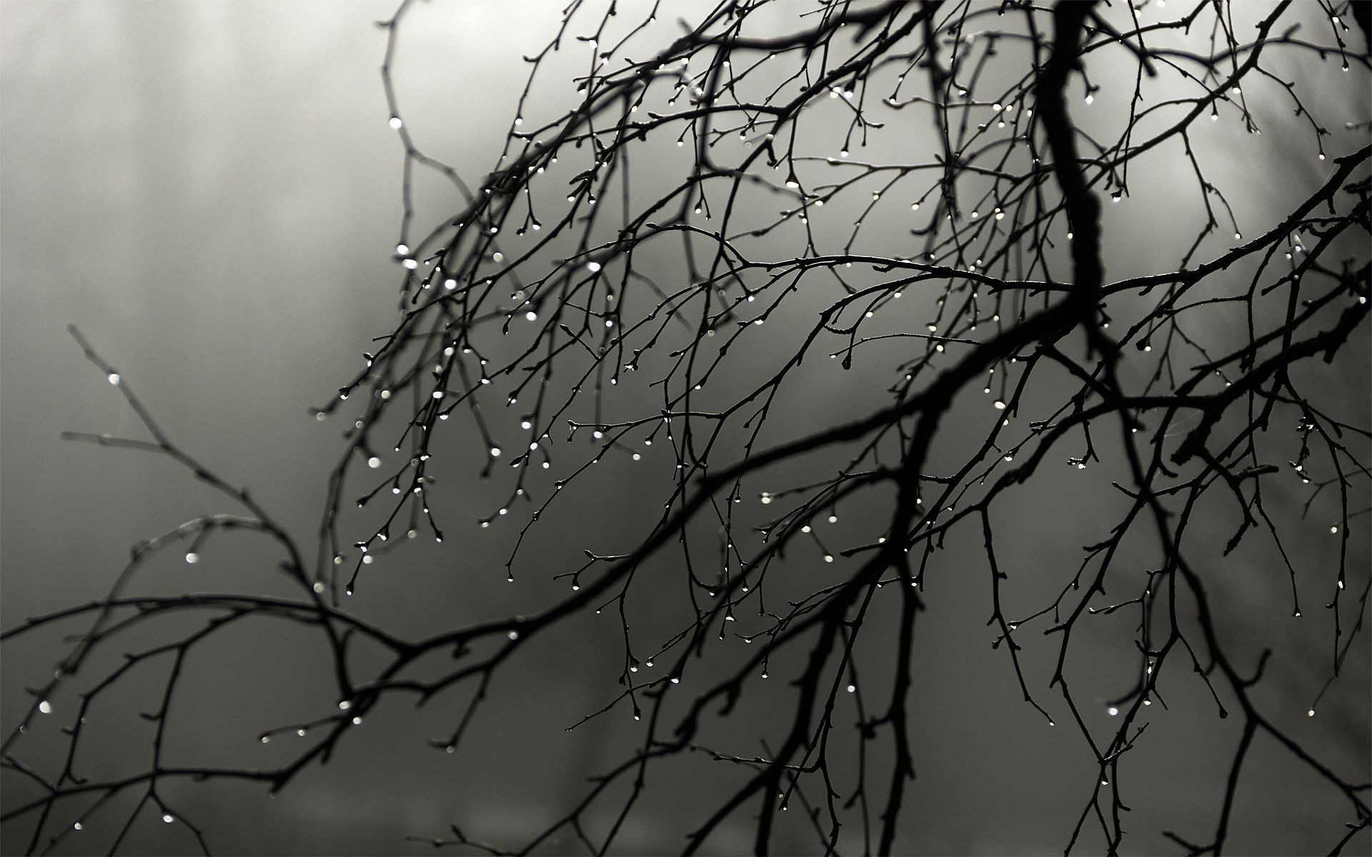 Preview Wallpaper Sea Rain Drops Splashes Ripples Black And