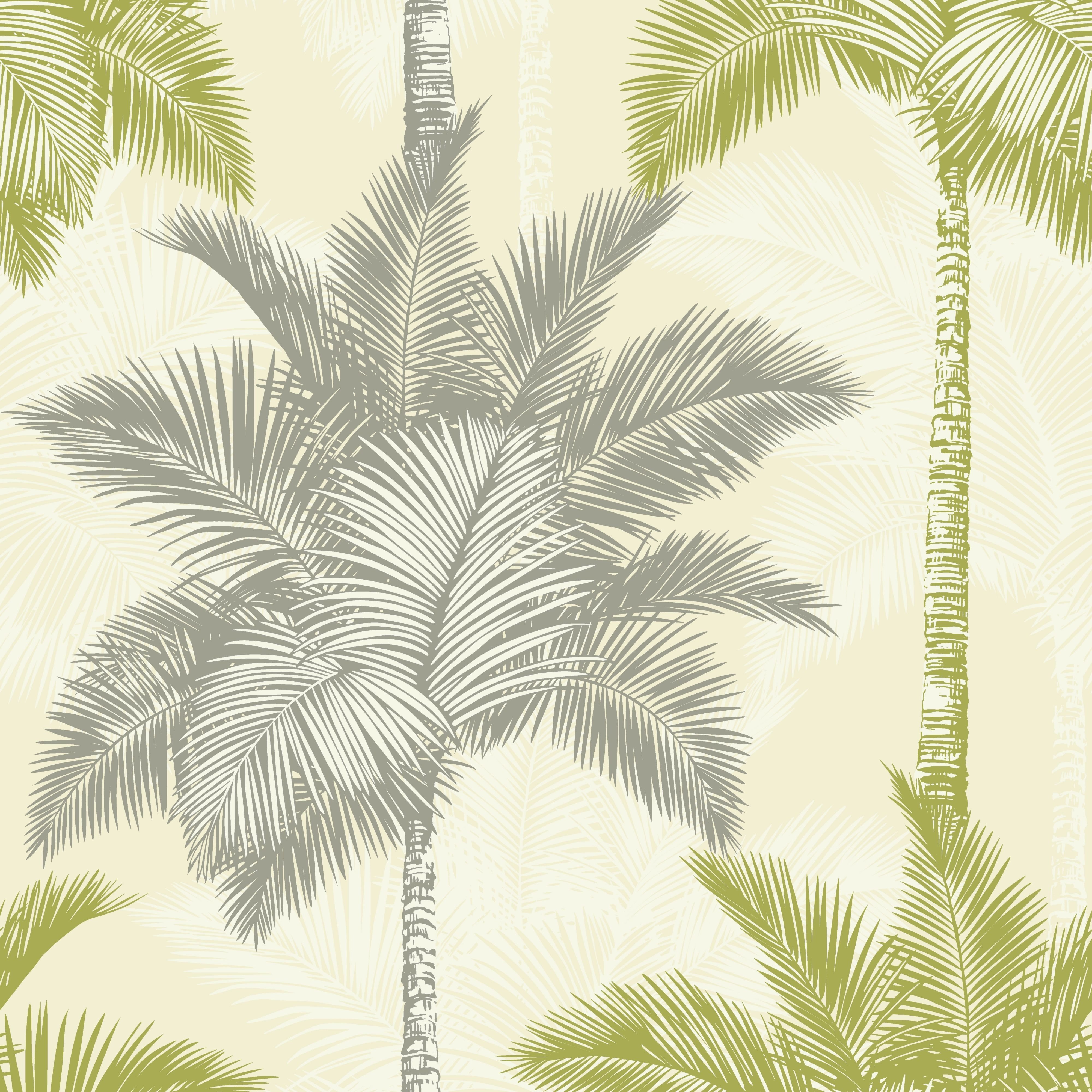 Glitter Wallpapers And Birds On Pinterest Fiji Palm - Wallpaper , HD Wallpaper & Backgrounds